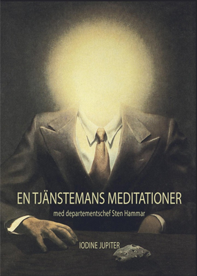 En stjänstemans meditationer